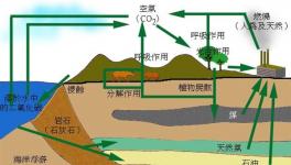全球水泥材料碳化的碳吸收研究取得重大進展