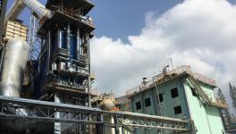 中材節能總承包的首個生物質發電項目通過驗收