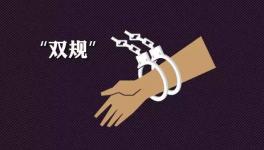 涉嫌違規審批湘發改委官員被查 曾染指東安紅獅批建