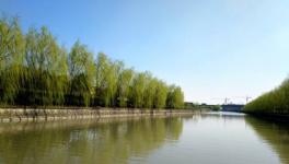 南方水泥海河聯運一期項目8月將正式投產