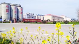 安徽海螺業績向好 今年豐收在望