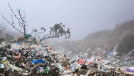 垃圾分類從鼓勵到強(qiáng)制 “中國式”垃圾處理