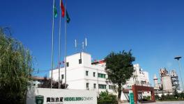 南非林波波省塔巴茲姆比市的中國地標曼巴水泥廠