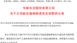 華新水泥副總裁楊群進辭職 曾任拉法基瑞安中國區CFO