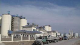 這個地區12戶水泥企業20條生產線即日起停窯150天（附名單）