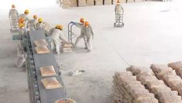 行情 | 2018年初越南水泥出口呈暴漲態勢