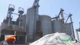 這家企業污染嚴重卻打著環保“大旗”生產水泥