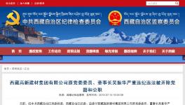 大搞權(quán)錢色交易!私分國(guó)有資產(chǎn)!這家水泥集團(tuán)原董事長(zhǎng)被雙開(kāi)!