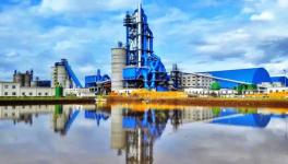 央視、人民日報一起為這家水泥廠點贊