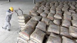 越南水泥出口增幅過半 中國市場出口量是去年的90倍