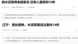 水泥企業中的真假“李逵”讓人質疑