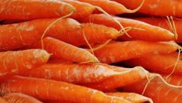 混凝土抗壓強度不夠？加點胡蘿卜！