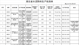 湖北省水泥熟料生產線清單