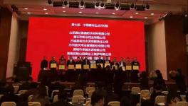 曲寨水泥榮獲中國建材企業500強企業