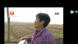 該地區農田整治被揭搞豆腐渣工程，混凝土一捏粉粉碎！