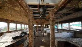 普吉海難沉船 船底竟然有3噸違規(guī)配重水泥