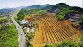 這個(gè)地區(qū)礦石開(kāi)采多年 欠下“20億”生態(tài)債