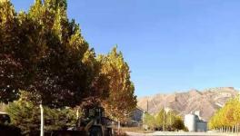 這家官司纏身的水泥企業或已被中聯水泥接手！