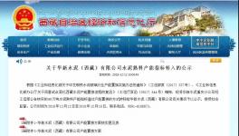 又一條新建水泥產能將落地！