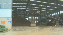 “未批先建”、“為驗先投”查！