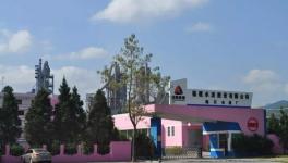 “高顏值”的經濟效益 促生又一條4500t/d生產線