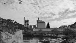 這一地區水泥龍頭企業華潤、海螺等喜獲佳績