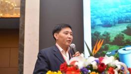 對技術創新著迷的水泥人