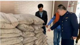 水泥市場再現“李鬼” 300包假“玉鷺”現原形