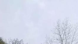 這家水泥廠破壞青山、污染環境何時休？