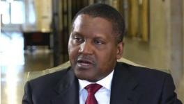 瘋狂！這個地區大搞建設！水泥賣到2000多元/噸！