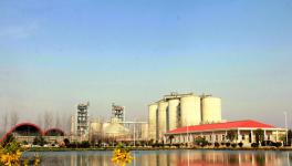 水泥行業“漲聲一片” 冀東、華新、萬年青等業績倍增