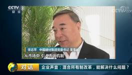 央視對話：宋志平再談混合所有制改革