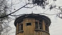 江南水泥廠被指保護(hù)不力，回應(yīng)稱原因復(fù)雜