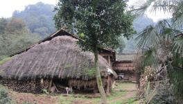 無化區來了！請不要妖魔化水泥廠