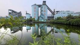 上峰水泥受益行業利好 一季度凈利增幅超116%