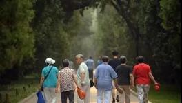 水泥行業將陷入到一個“可怕的陷阱”...