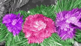 水泥的另外一種美！您見過嗎？