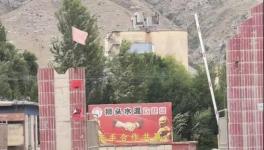 村民舉報：已關停許久的水泥廠又開始生產，粉塵污染嚴重