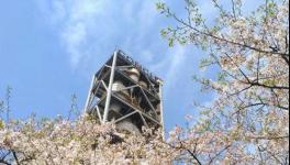 海螺水泥這么強(qiáng)大！答案在這里……