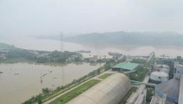 7人死亡9人失蹤！多省緊急發(fā)文！800多家水泥廠出貨量暴跌！