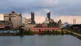 拉動(dòng)經(jīng)濟(jì)！解決就業(yè)！印尼各級(jí)政府高度贊賞海螺水泥！