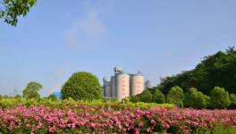 打造美麗礦區！叫響華新水平綠色品牌！