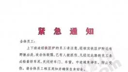 狼來了！這家水泥廠已有員工被抓傷！