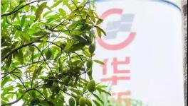 人與自然和諧相處！水泥廠迎來神秘訪客！