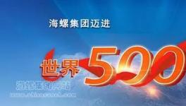 海螺集團邁進世界500強引起熱烈反響！