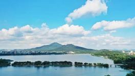 緊急通知！8月15日起推動部分水泥企業退出！9月起實施階段性停產！