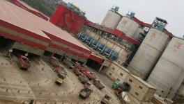 “頂風(fēng)作案”！紅獅水泥又出事了！