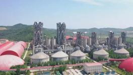 海螺集團以問題為導向實現新擔當新作為！