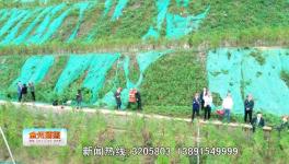 點(diǎn)贊！這一地區(qū)礦山生態(tài)環(huán)境恢復(fù)治理近200公頃！