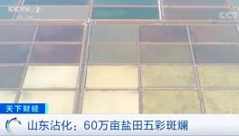 1噸海水超千元！廢料還能造水泥！